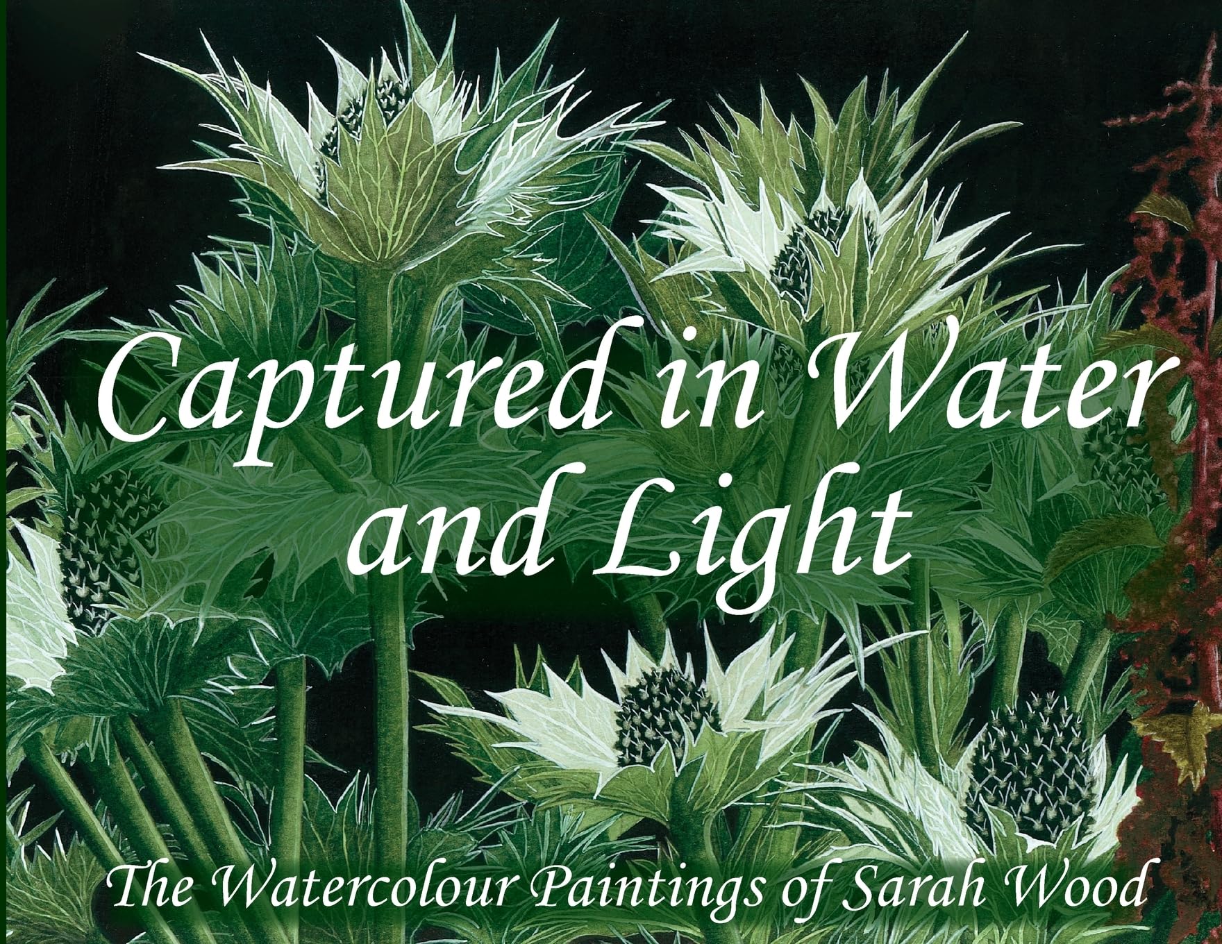 Captured in Water and Light