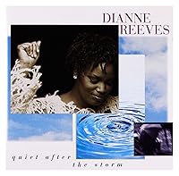 Vista 1 de Quiet After the Storm