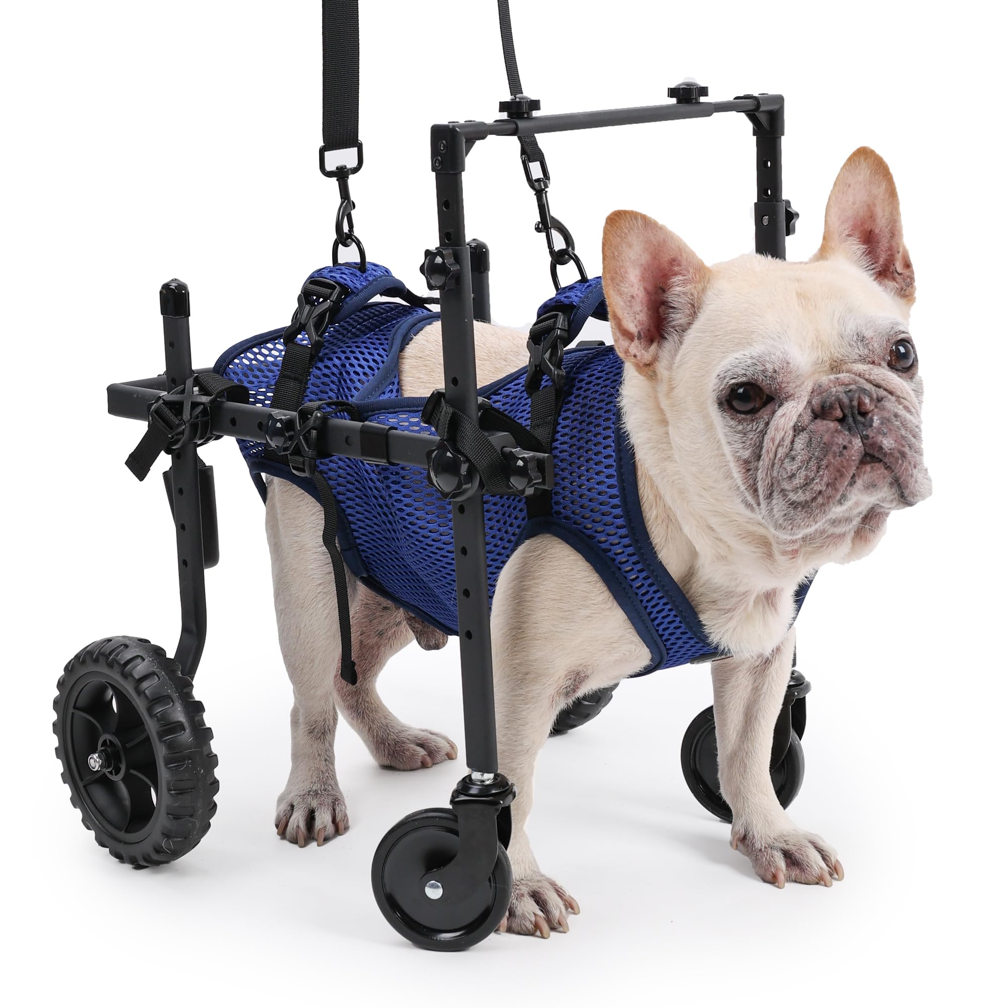 Sedia a rotelle a 4 Ruote per Cani disabili e Anziani, Regolabile, per la Mobilità degli Animali Domestici, con Maniglia, Carrello per Sedia a rotelle per Riabilitazione Posteriore/Gambe (S)
