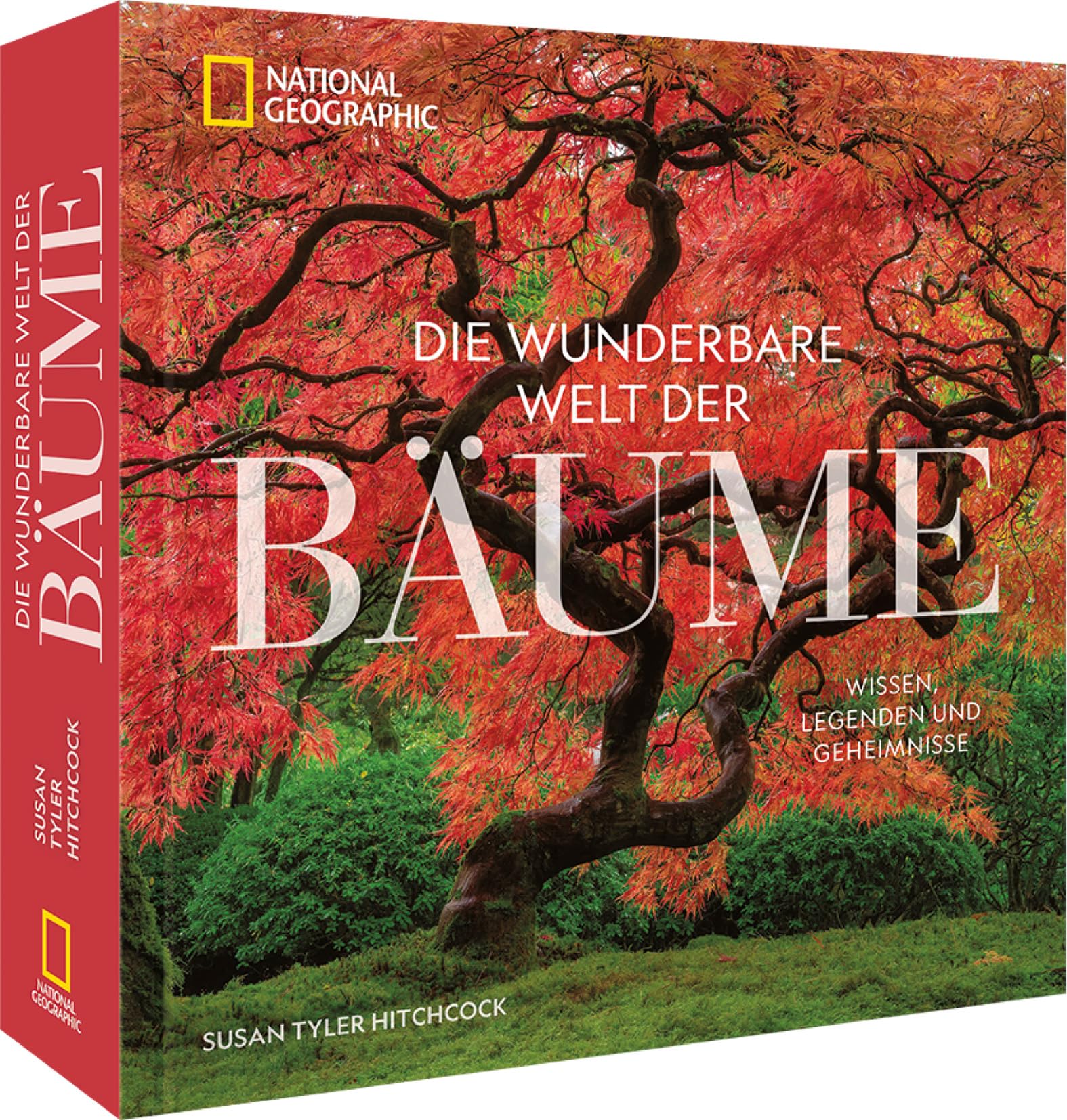 NatGeo Bäume
