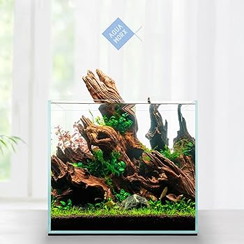 Amazon.com : Aqua Worx 1 Gallon Rimless Fish Tank - 6.29 x