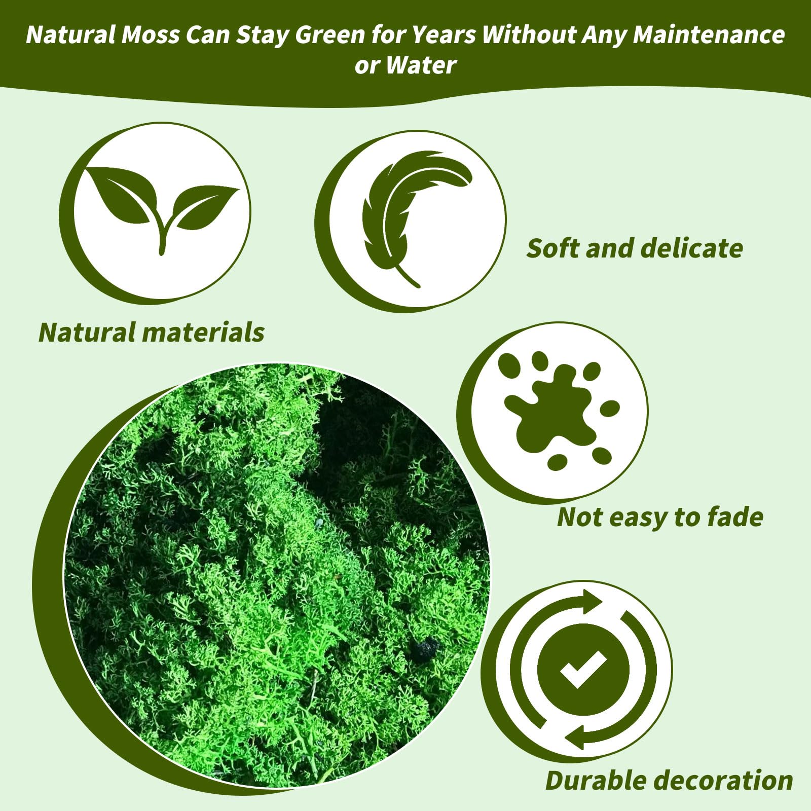 60 G De Mousse Artificielle Arrderly - Feuilles Réutilisables Pour Décoration Murale, Aquariums, Modélisme Et DIY