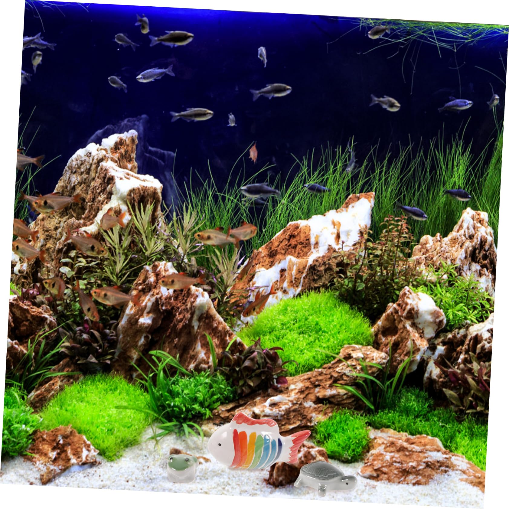 BESPORTBLE 4 Ensembles Méduse Réservoir Poisson Artificiel Décoration Aquarium Tortue Ornement Céramique Aquarium Accessoire D'aménagement D'aquarium Décorations D'aquarium 3 Pièces * 4