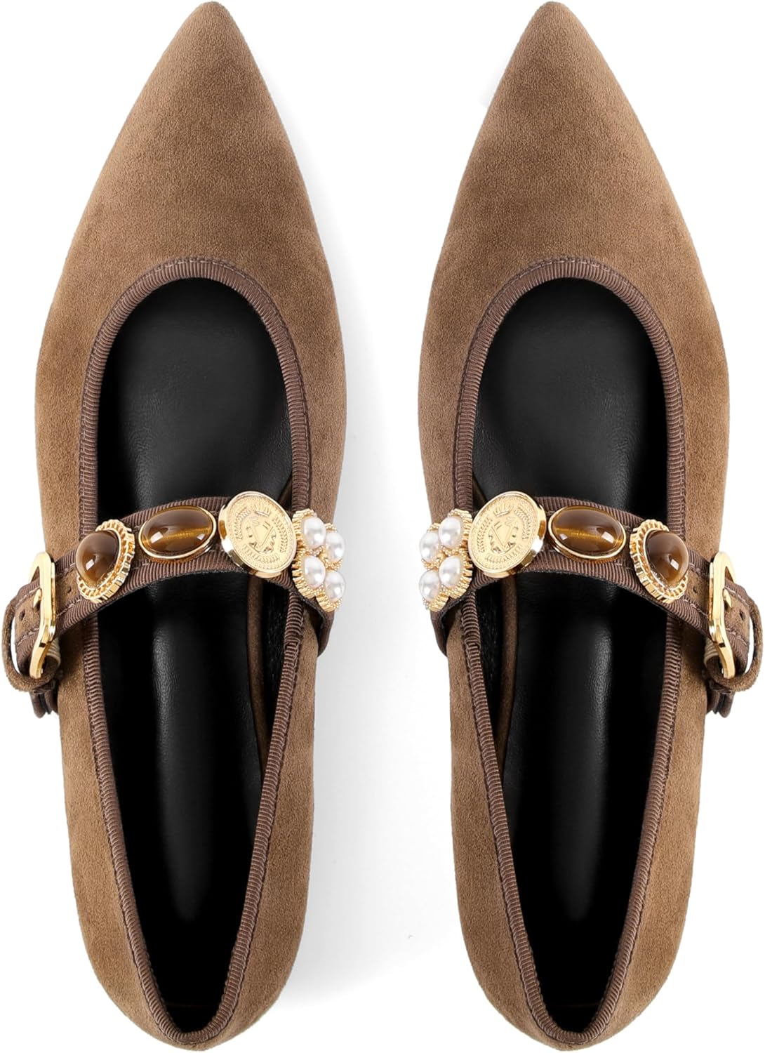 Women's Ballet Mary Jane Flats Pointed Toe Buckle Strap Flats Dressy Comfortable Ballerina Shoes for Work Walking