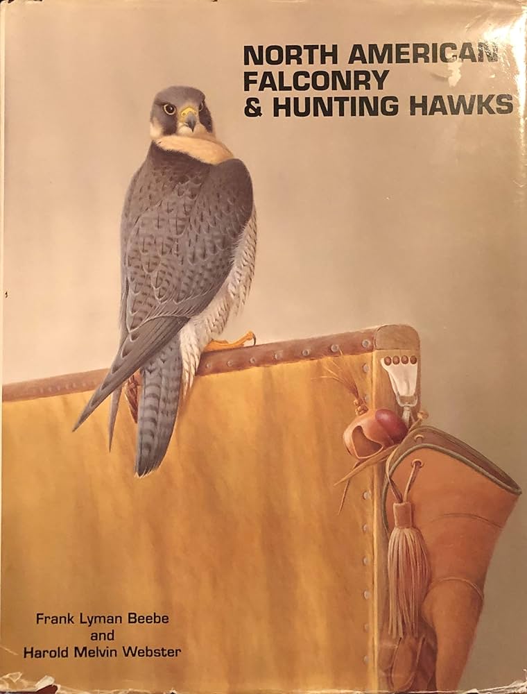 North American Falconry & Hunting Hawks: Frank Lyman Beebe, Harold