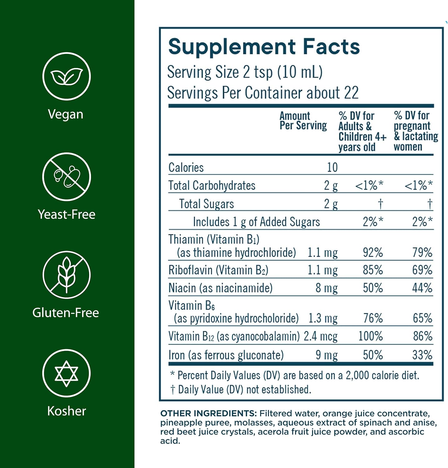Flora Iron with B-Vitamin Complex - Helps Maintain Healthy Iron Levels - Non-Constipating, Highly Absorbable - Vitamin-B & Liquid Iron - Vegan Supplement - Yeast & Gluten Free, 7.7-oz. Glass Bottle