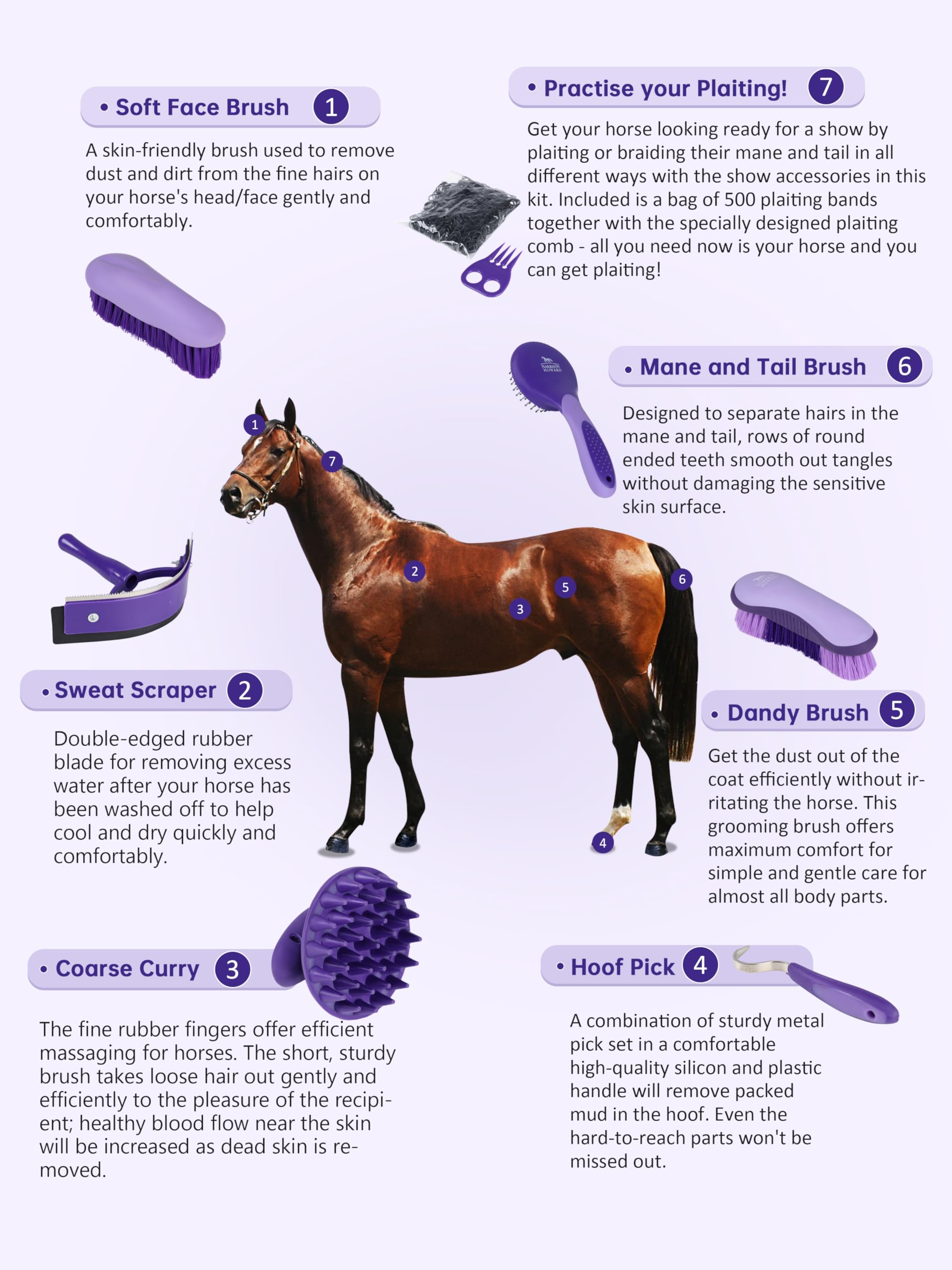 Harrison Howard Horse Grooming Brush Set, 7 Essential Grooming Brushes for Daily Horse Care, Body, Mane, Tail & Shedding Use Purple - image 3