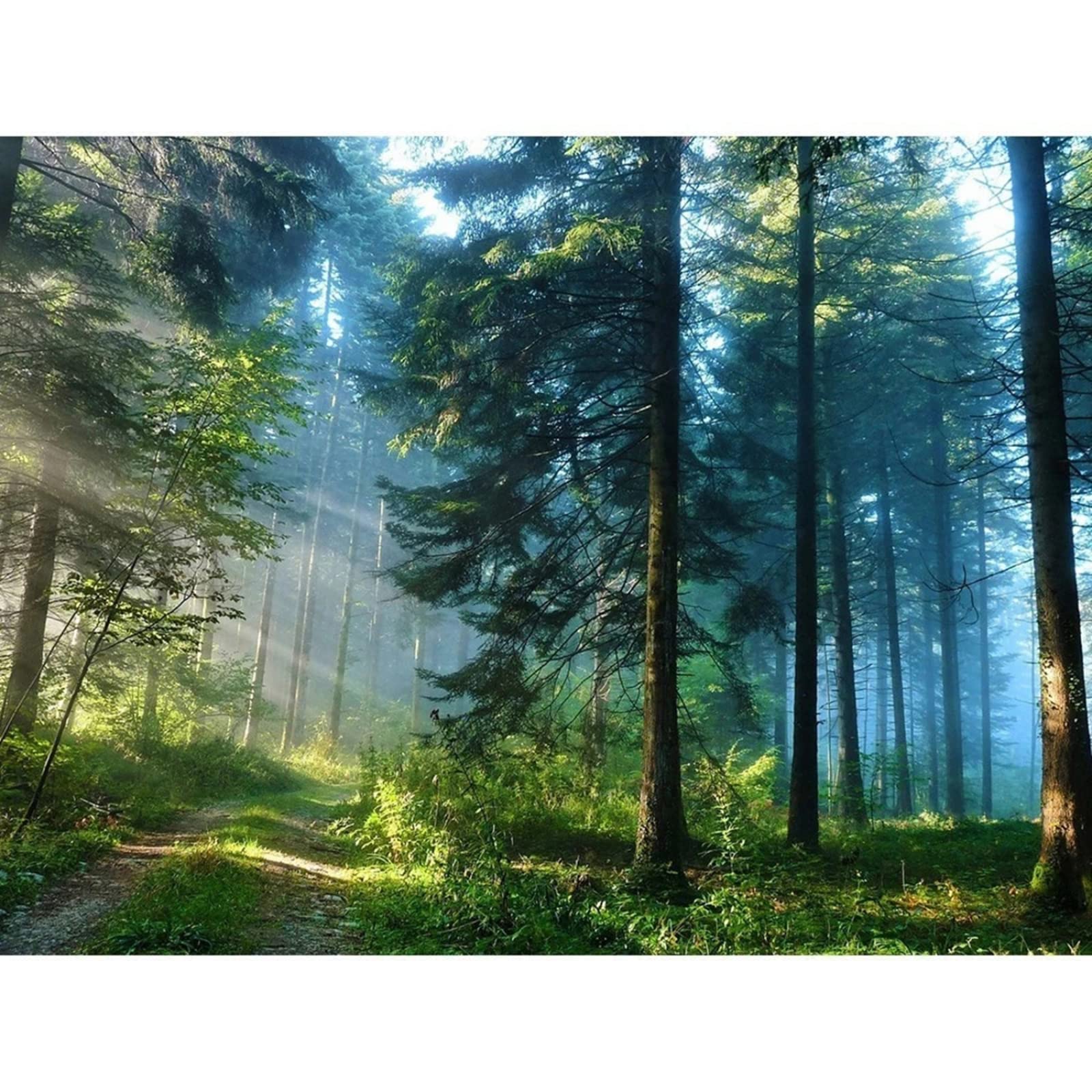 Rompecabezas De Madera 6000 Piezas Bosque Grande Rompecabezas De Madera-Juguetes Educativos Expandir La ImaginacióN Y La Creatividad Espacial. TamañO Final 179.5×105.5cm