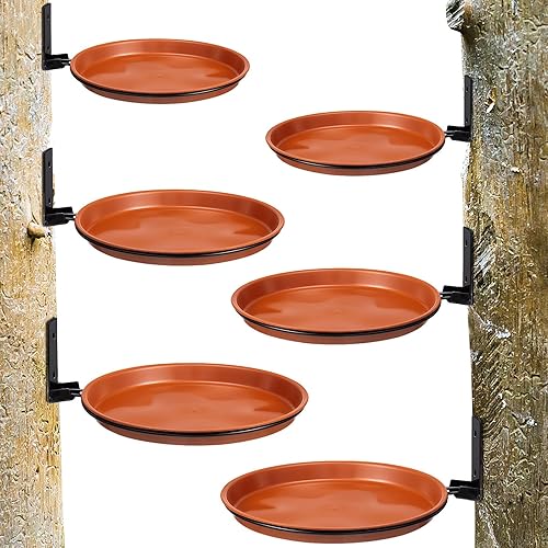 Hicarer 2 juegos de cuencos de baño para pájaros montados en árboles, bandejas de comedero de agua para pájaros montado en árbol con anillo de