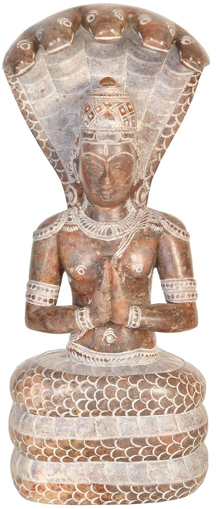 Amazon.co.jp: エキゾチック インディア パタンジャリ - ヨガ