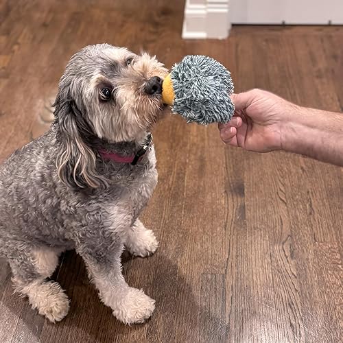 Miniatura 4 de Ethical Pet Butterballs - Juguete para perro, 4 pulgadas, bosque, surtido para todos los tamaños de raza