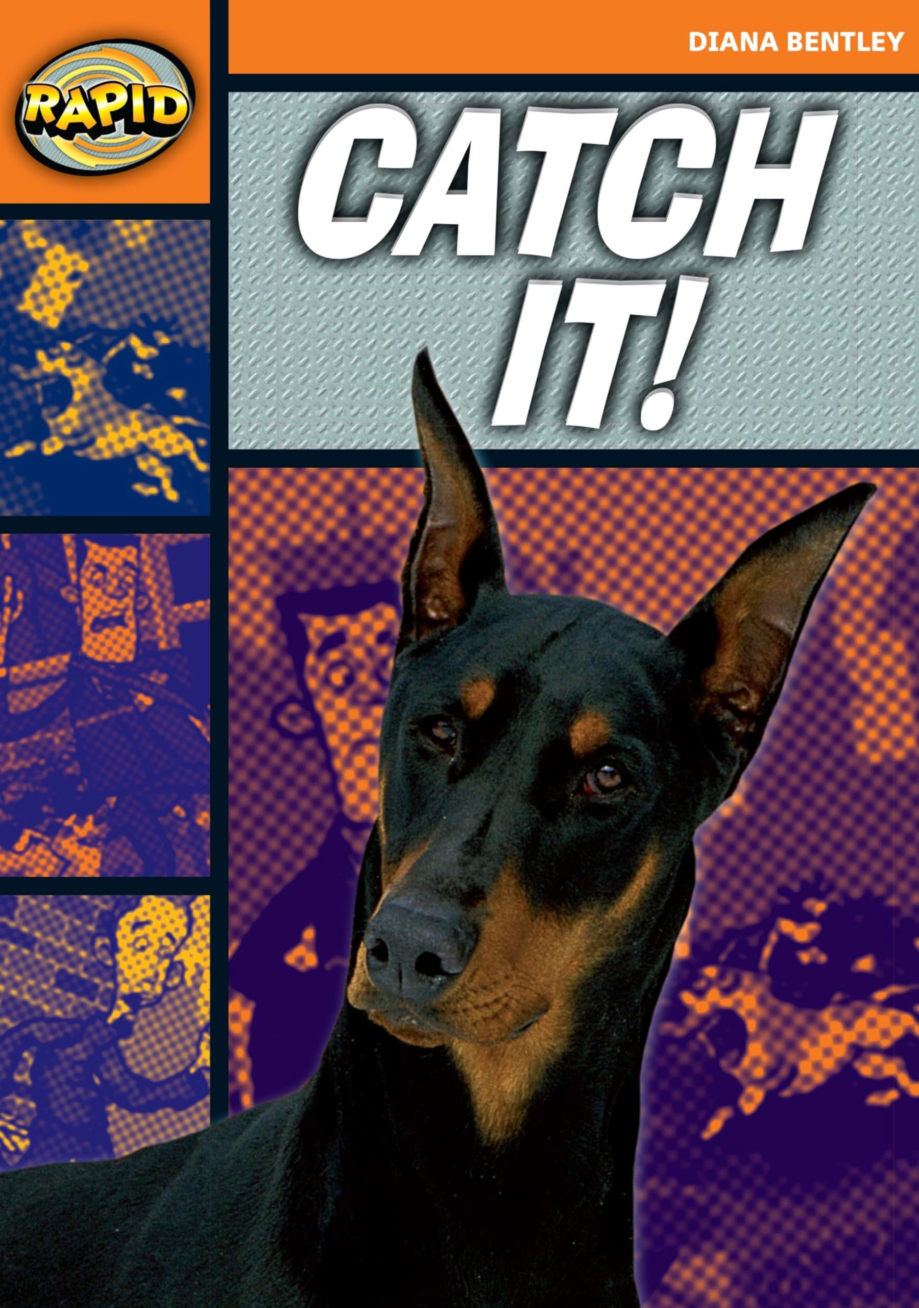 Rapid Reading: Catch It! (Starter Level 2A)