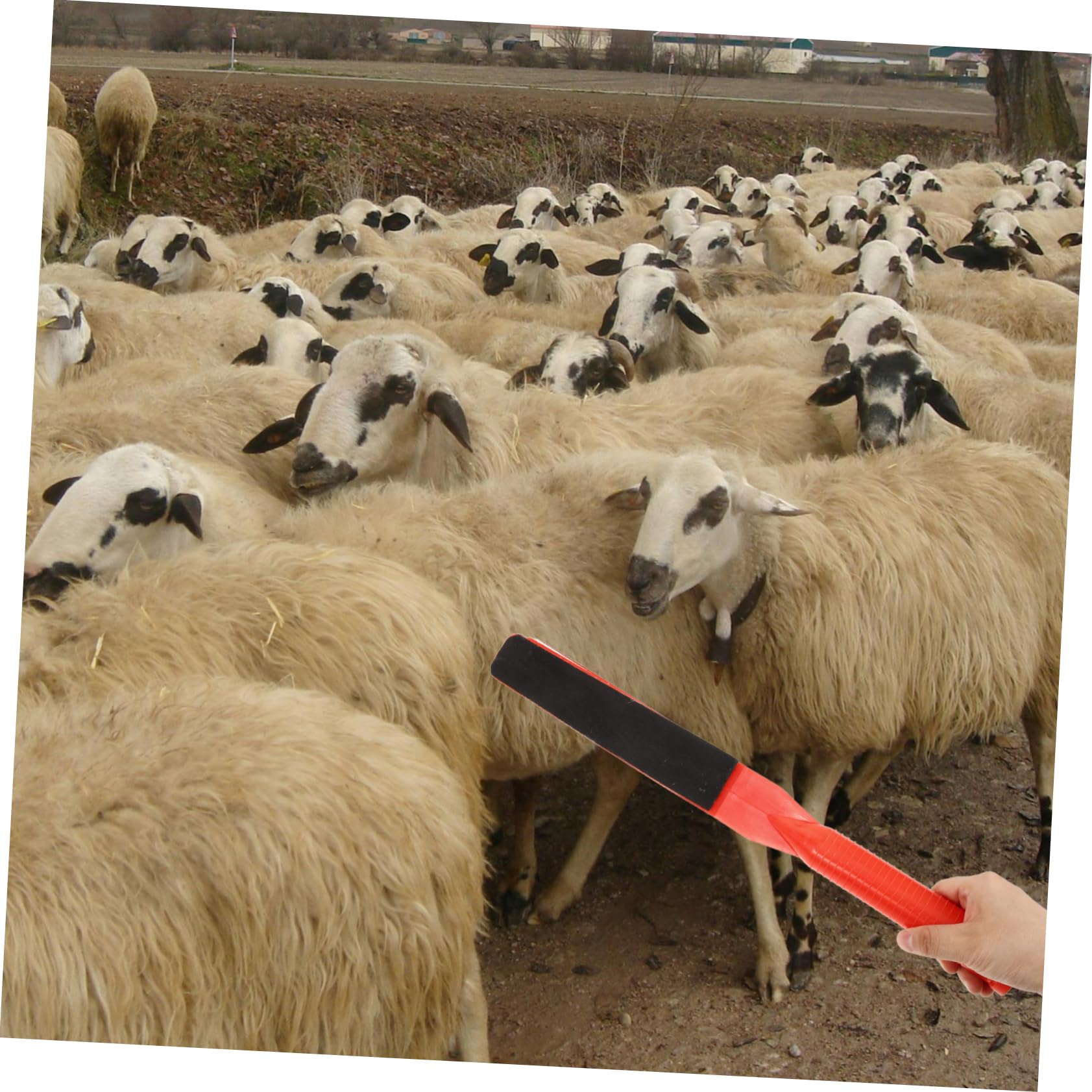ifundom 4 Pezzi Paddle per Bestiame Resistente All Usura Strumento Maneggevole per Maiali e per Condizioni Umide Accessorio per Agricoltori e Leggero
