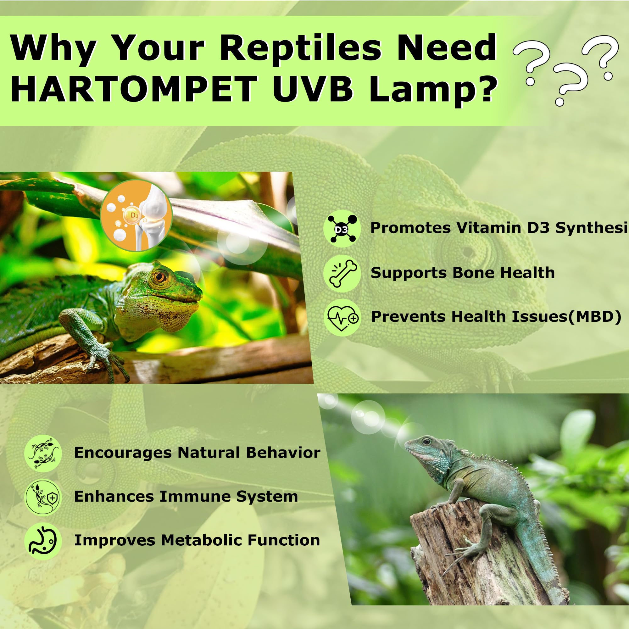 UVB 5.0 Reptile Light 26W, Compact Fluorescent Lamp, Coil UVB Bulb for Tropical Reptiles, Chameleons, Iguanas, Lizards & Terrariums - image 5