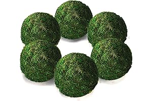 Vumdua Moss Ball: 6 Pcs 4-Inch Moss Balls for Stunning Home Decor