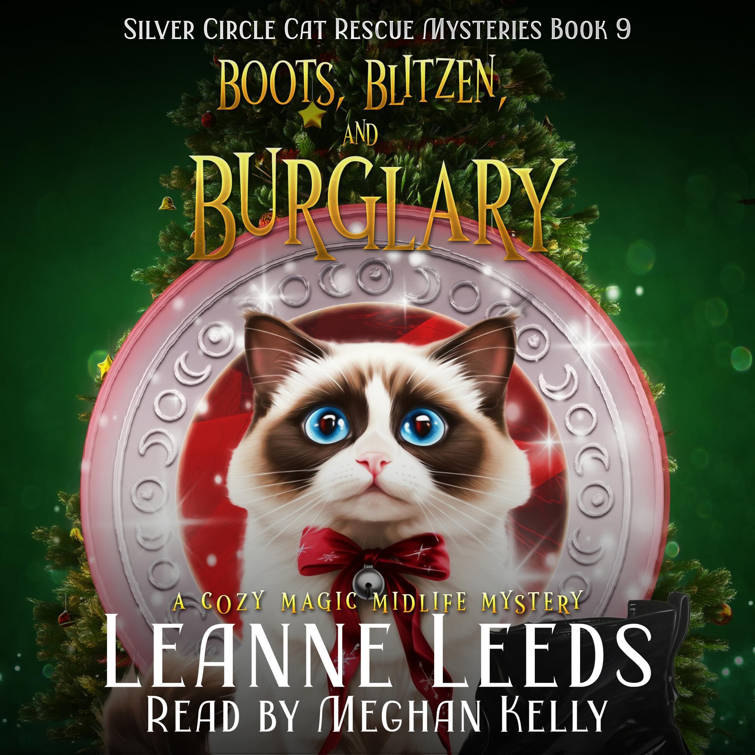 Cover art for Boots, Blitzen, and Burglary