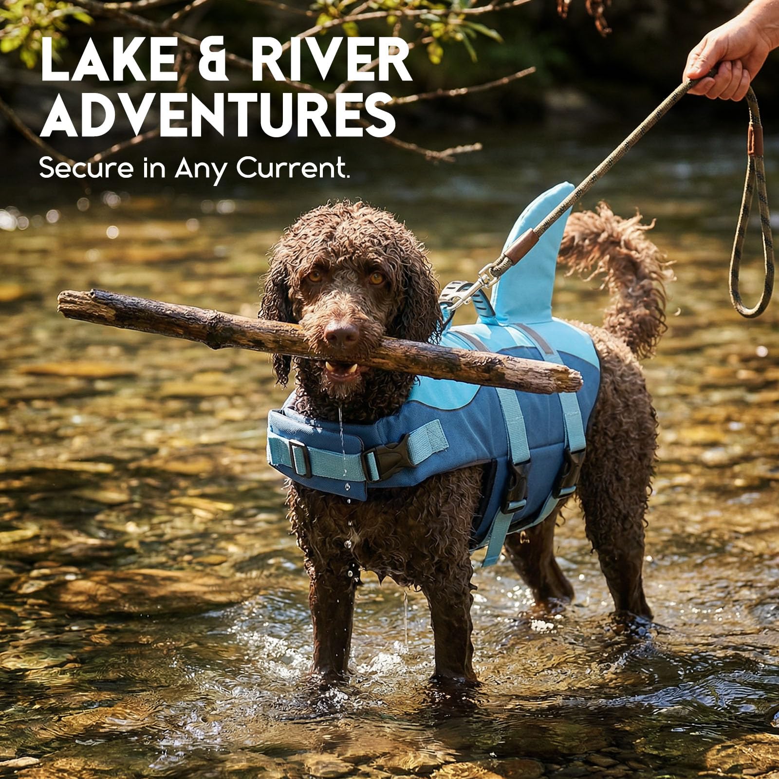 ASENKU Hundeschwimmweste Größe S für kleine Hunde, Schwimmweste für Hund Hai mit Sicherheitsgriff, Reflektorstreifen & D-Ring, ideal für Schwimmen, Boot & Strand