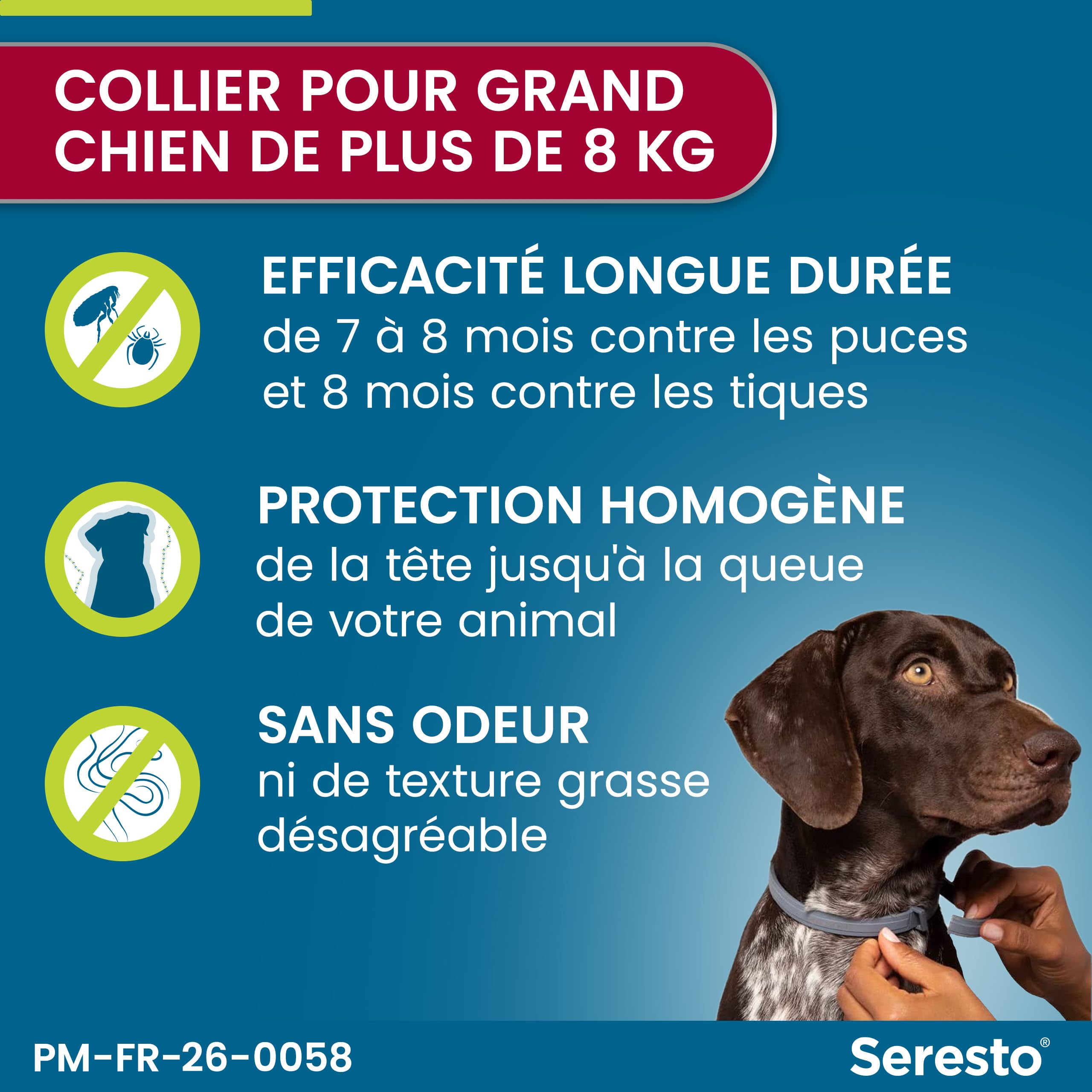 Seresto Collier Grands Chiens – 2 Protections anti puces et anti tiques pour grands chiens de plus de 8 kg – Collier Seresto pour chien 7 à 8 mois de protection, réduit le risque de leishmaniose –Gris