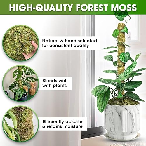 Miniatura 8 de DUSPRO - Paquete de 4 postes de musgo de malla verde apilable para plantas trepadoras, soporte para monstera, plantas de interior, poste extensible
