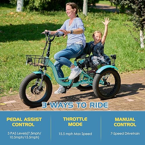 Vista 46 de NAIZEA Electric Tricycle Adult Electric Bicycles,Electric Trike,3 Wheel Electric Bike Ebike E Bicycle with Removable Battery, Motorized Trike with