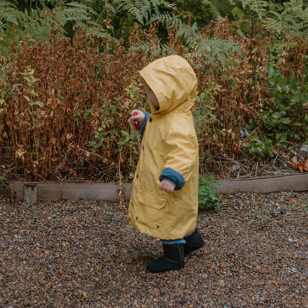 Robeez Soft Sole Baby Boots,Black Tyler Suede F23, 12-18 months