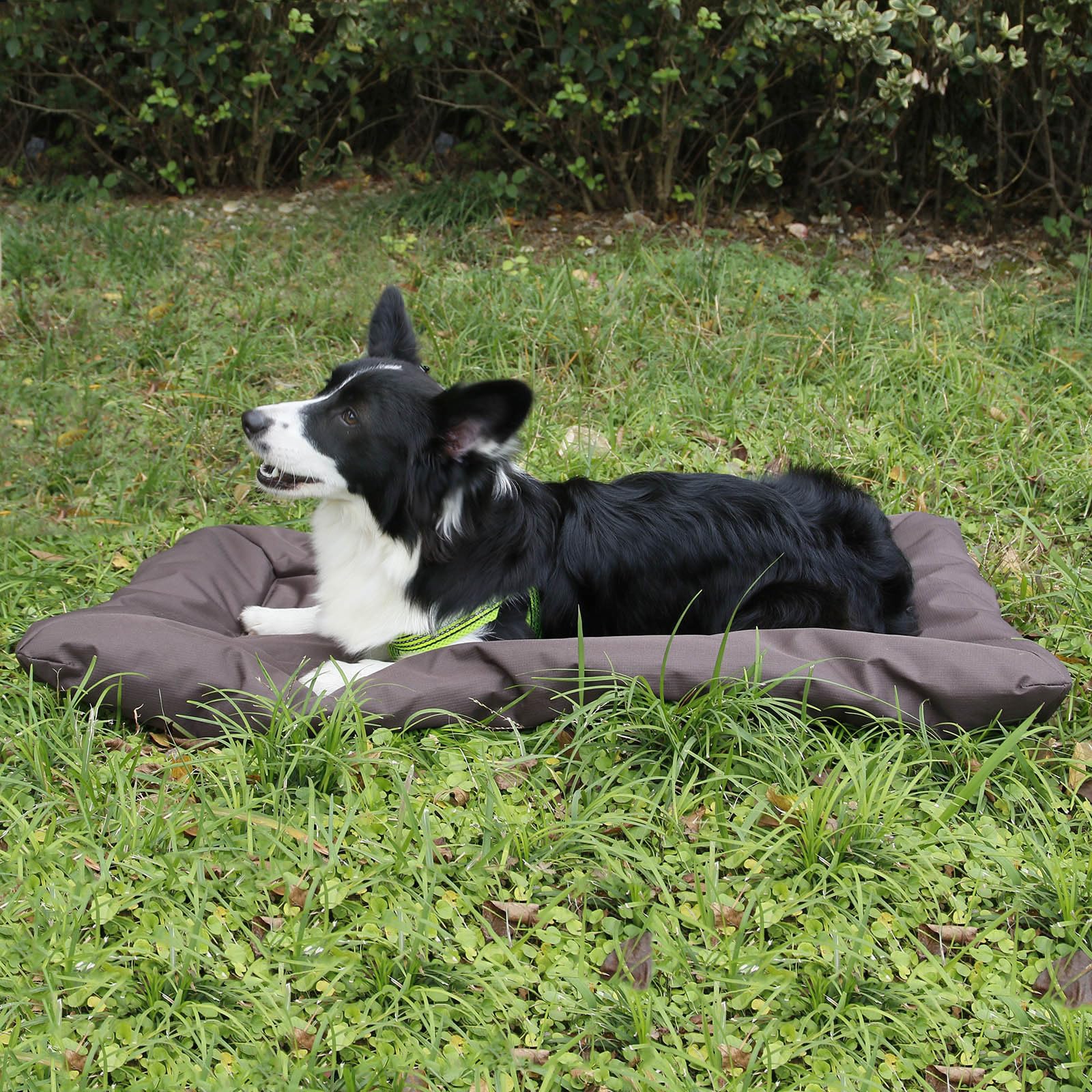 Sunydog Outdoor Dog Bed, Roll-up Travel Dog Sleeping Pad, 33x 22 In Dog Bed Mat for Medium Small Dogs - Image 2