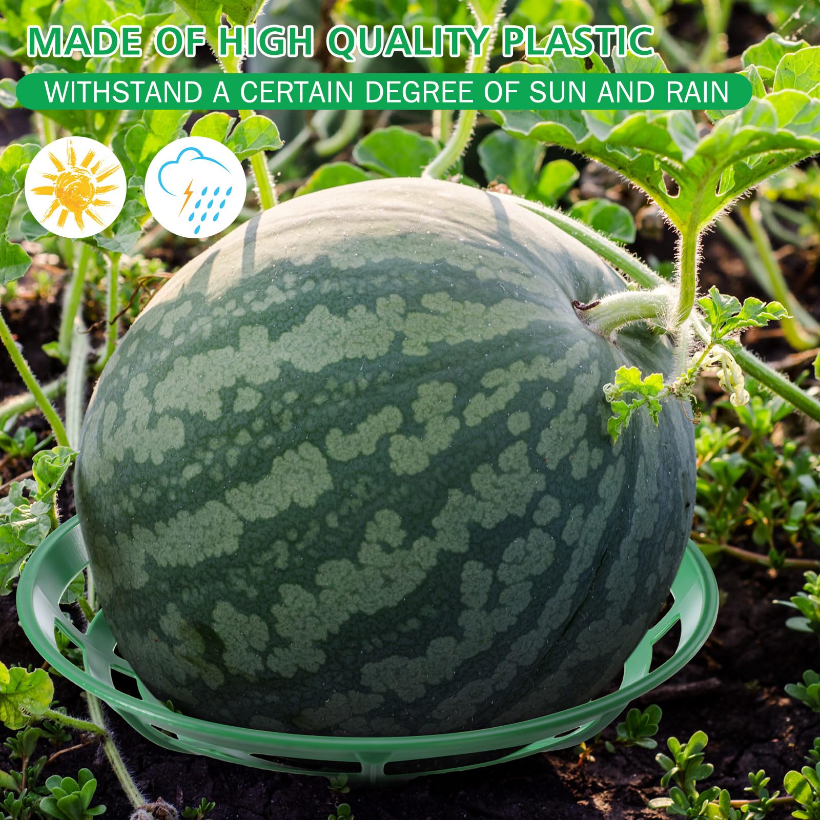 Irenare 24 supporti per meloni da 22,9 cm, supporto per piante da giardino, protezione per anguria e zucca, grande cesto per raccolta di zucche, supporto per anguria, può contenere fino a 20 libbre