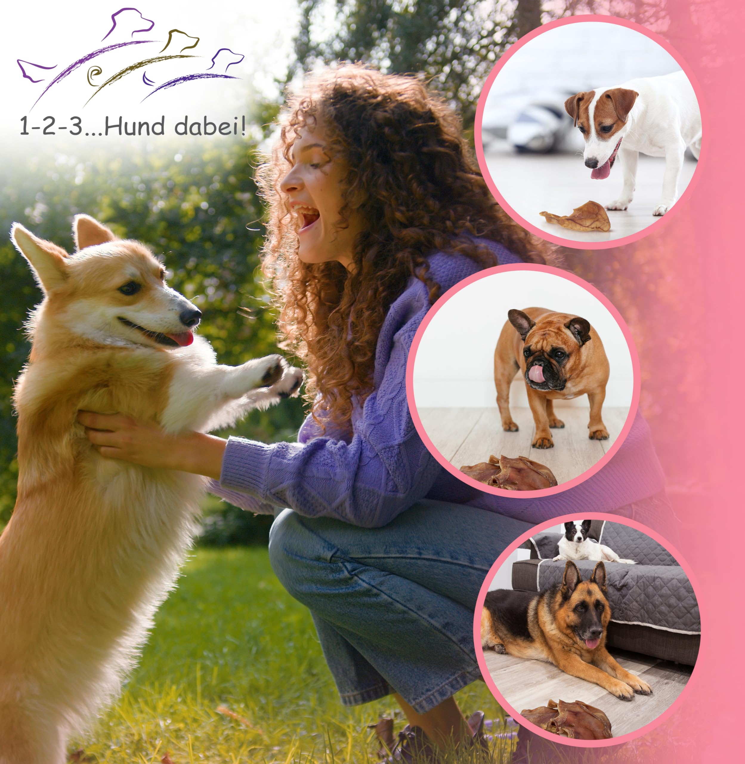 Oreilles de porc séchées naturelles pour chiens – 100 % pur plaisir de mastication, séchage à l'air libre, sans additifs – Friandise idéale pour le nettoyage des dents (100 pièces)