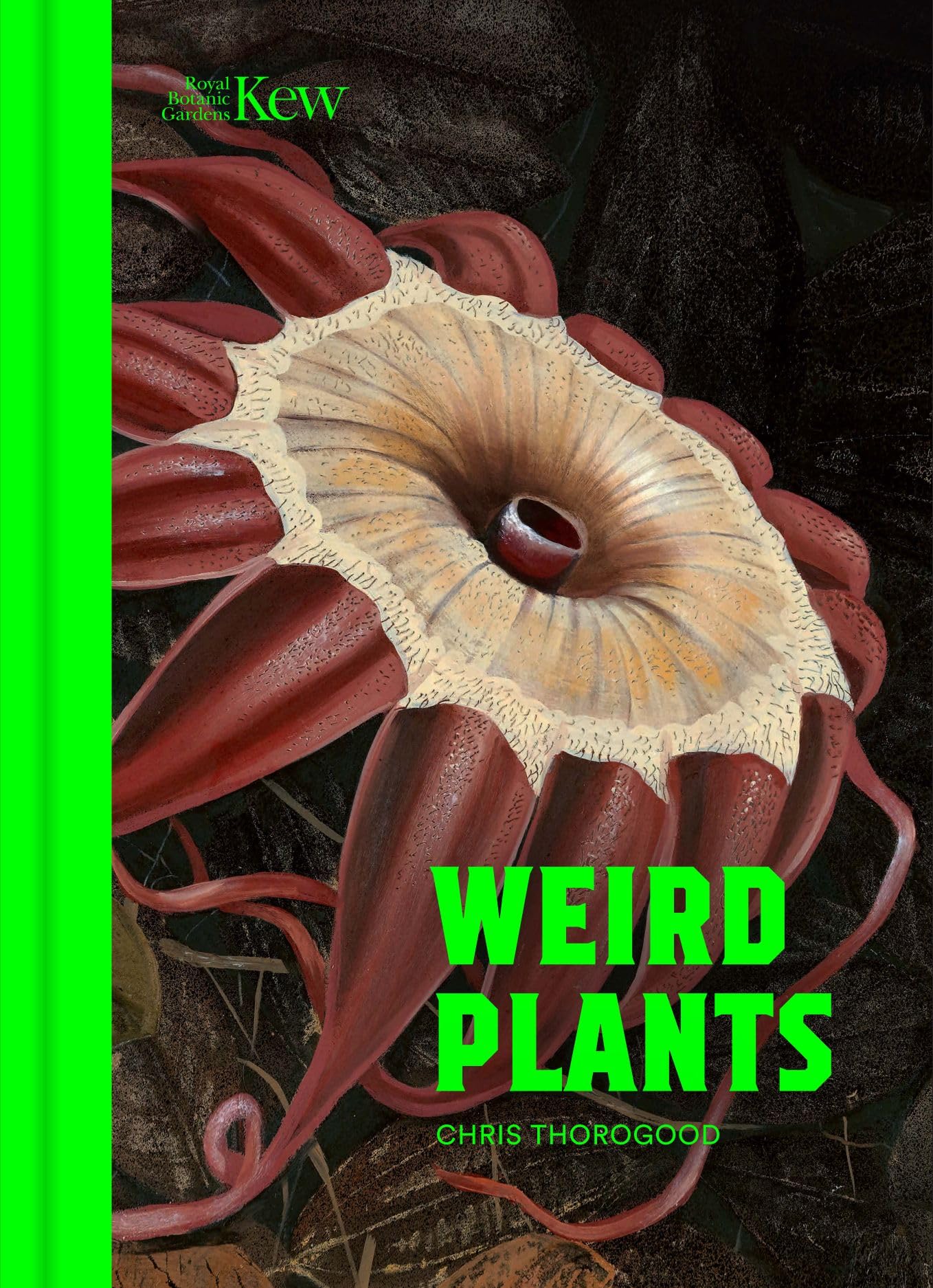 Weird Plants by Chris Thorogood HARDBACK 9781842468562