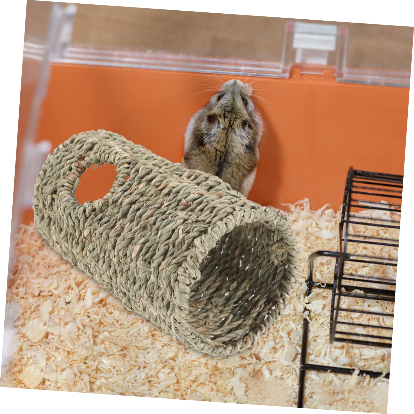 Amazon.co.jp: BESTOYARD わらのおもちゃのトンネル ハムスター