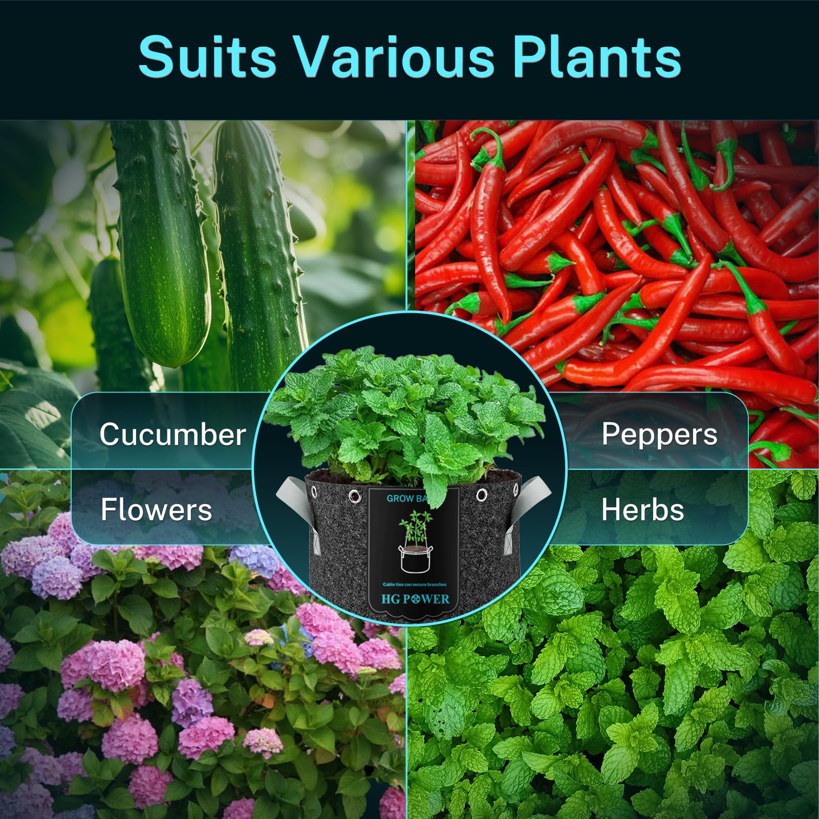 HG Power Sacco da Giardino 26L (25L + 4% Volume Extra), 5 Pezzi, Vaso in Tessuto con 20m di Filo per Piante, Ø33cm, Altezza 31,5cm – Tessuto Non Tessuto 350g/m², Resistente