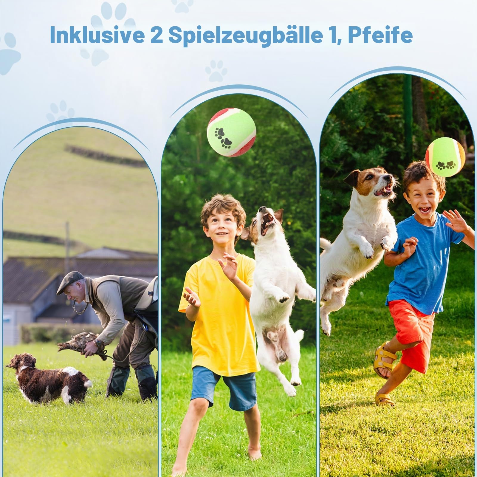 70-Teiliges Agility Set Hunde hundetraining Agility Set Hunde groß 8 Slalomstangen Springring, 2 Ball, Pause-Box, Leckerlibeutel, Tragetasche Hunde intelligenzspielzeug Agility Set