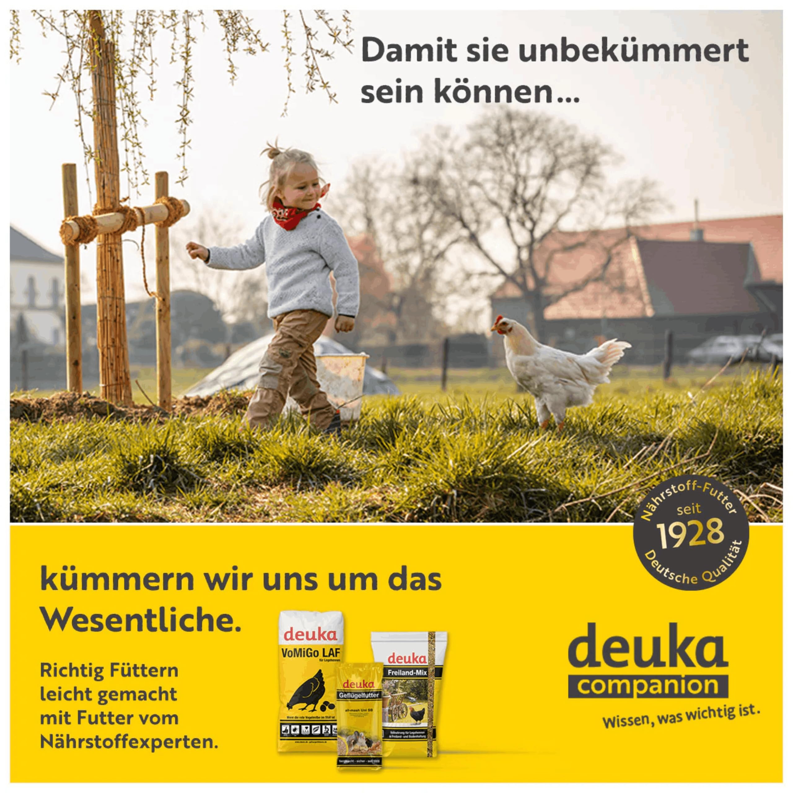 TOP-Futtermittel Körner extra | 25 kg