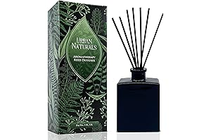 Urban Naturals Balsam Forest Pine Oil for Diffuser
