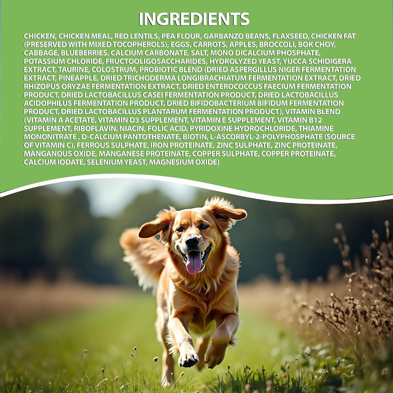 LEGACY Low Fat Dog Food — Real Chicken First Ingredient, 33% Less Fat Without Cutting Meat Protein, Added Colostrum for Immunity, Grain-Free, All Life Stages, 25 lb