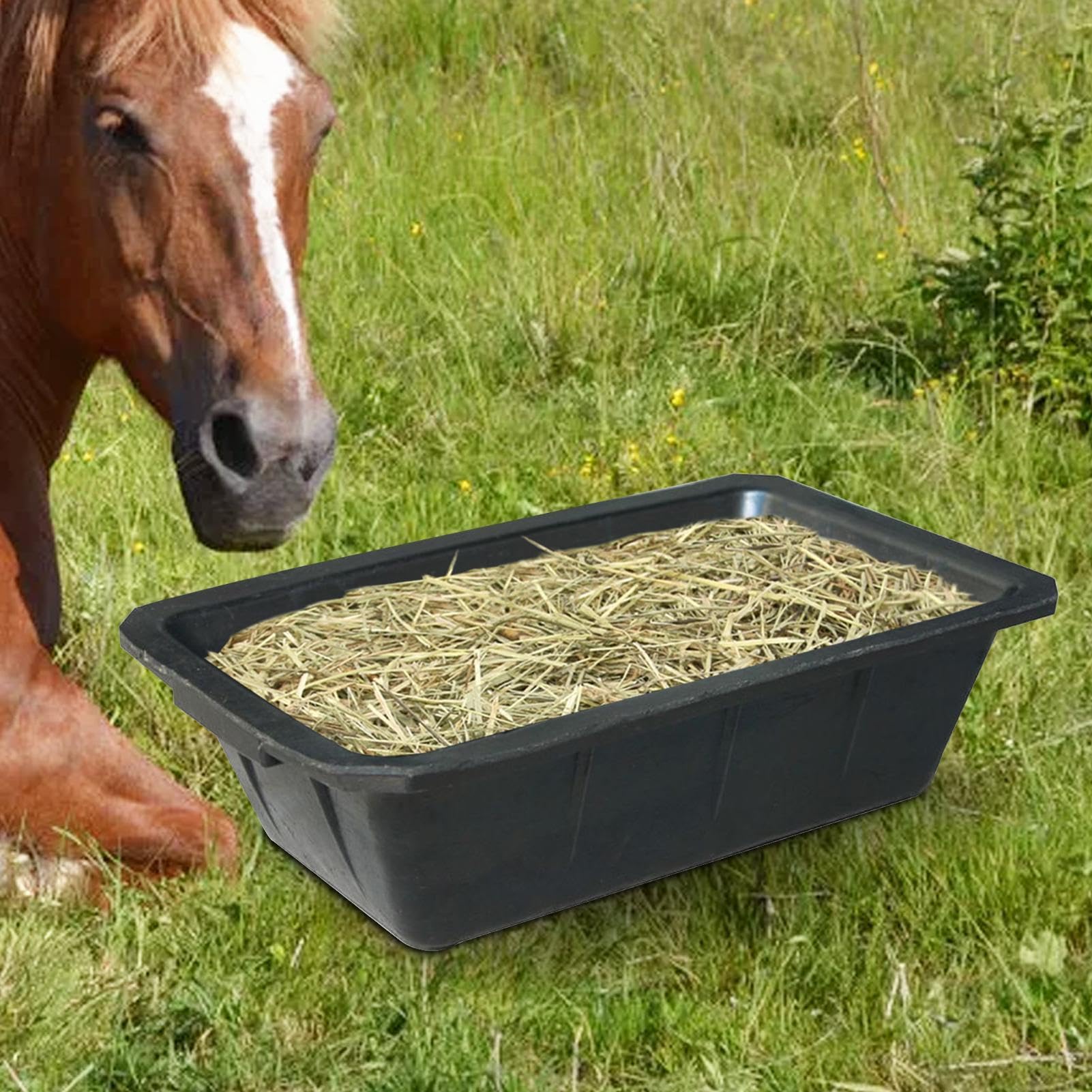 Generisch per animali da allevamento, da 10 litri, robusta per mangime per animali, per cervi, pollame, polli, per sostenere le attività quotidiane di gestione in fattoria