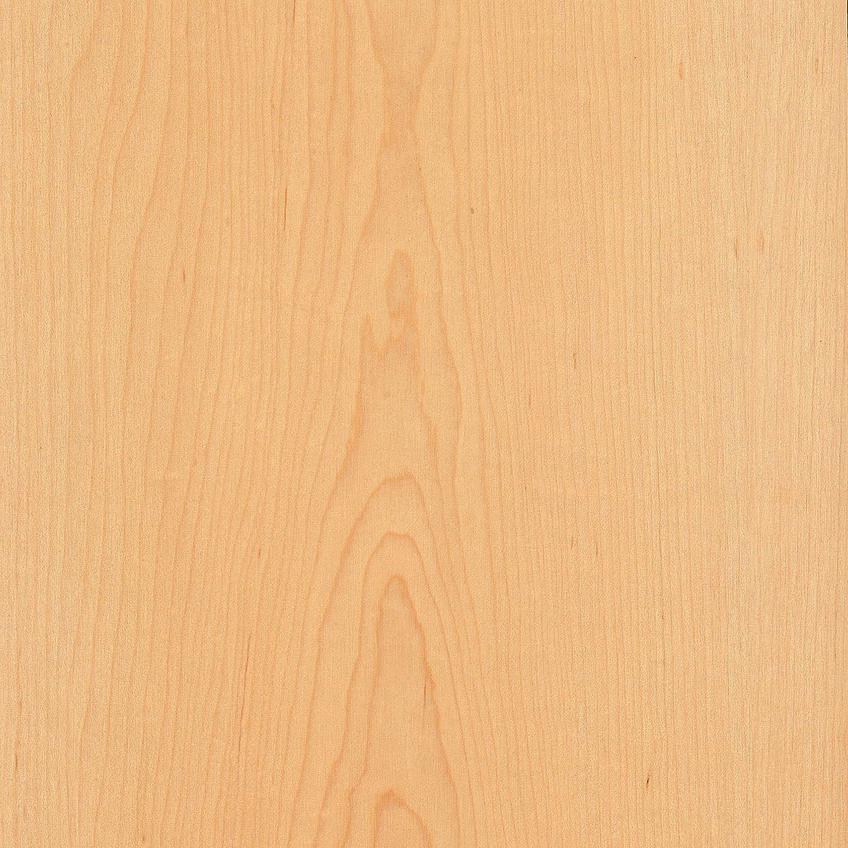 Wood-All Maple Wood Veneer Sheet, Plain Sliced/Flat Cut, 24x96, A Grade, 10 mil Peel and Stick PSA Backer