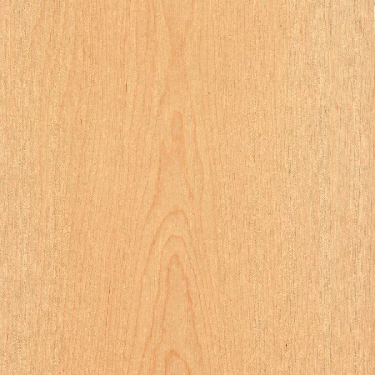 Wood-All Maple Wood Veneer Sheet, Plain Sliced/Flat Cut, 24x96, A Grade, 10 mil Peel and Stick PSA Backer