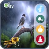 雨と雷の夜 - 深い眠りのための夜の嵐の音