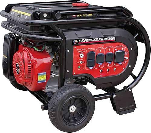All Power G10000EGL - 10,000 Watt Starting Power Generator Dual