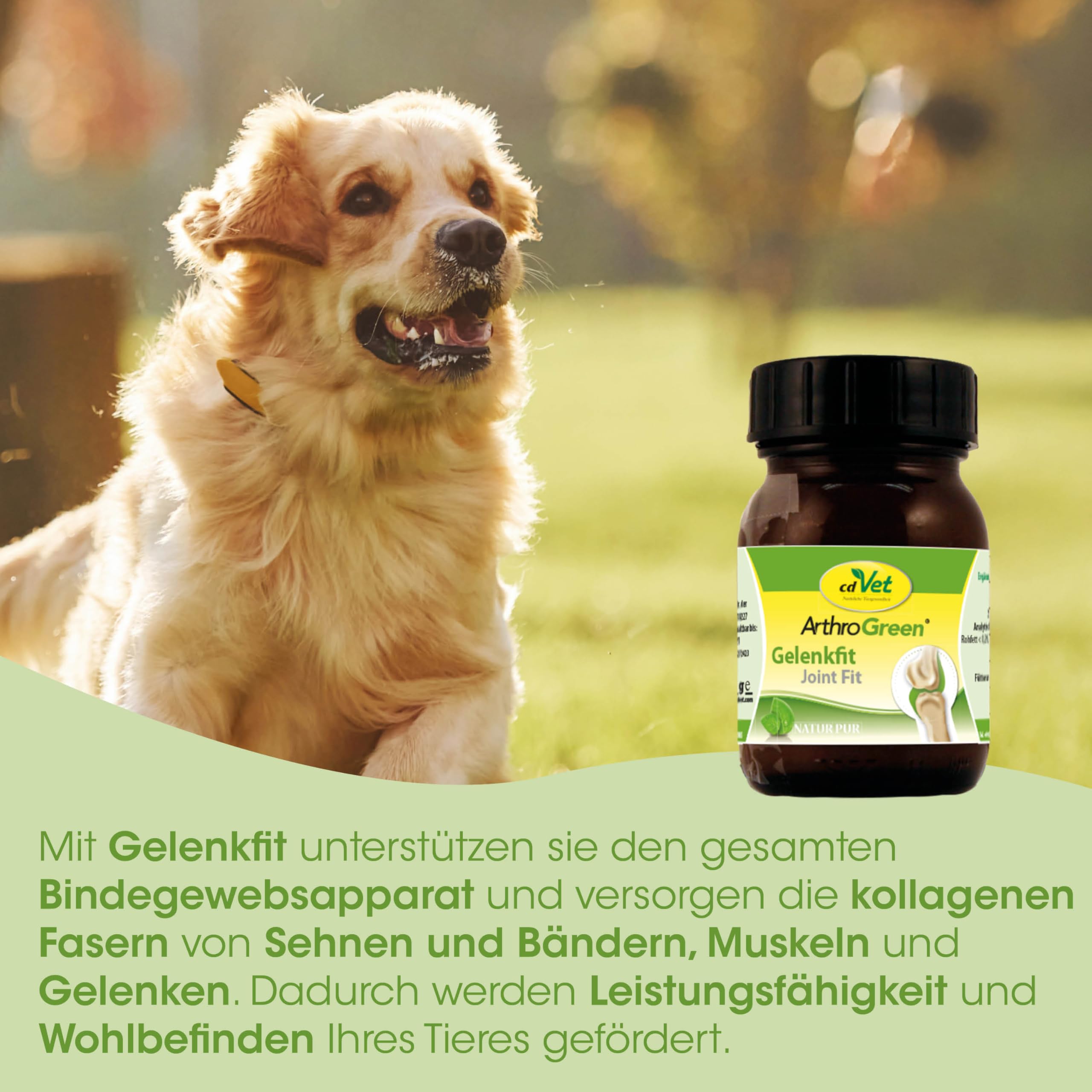 cdVet Natural Products ArthroGreen Jointfit 70 g – wspiera dietetyczne wsparcie układu mięśniowo-szkieletowego – wspomaga zaopatrzenie więzadeł, ścięgien i tkanki łącznej -