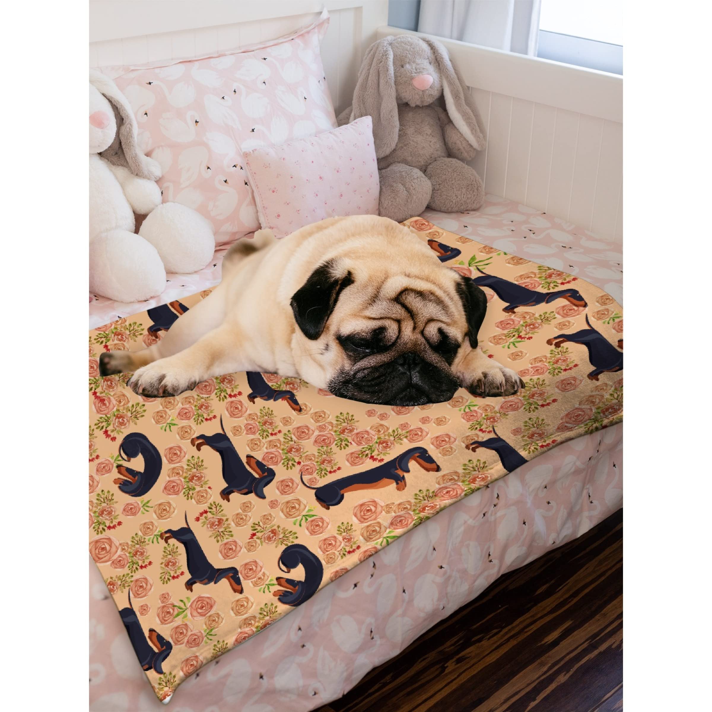 Buy Todeyya Dachshund Dog Blanket - Super Soft Plush, Warm Fleece