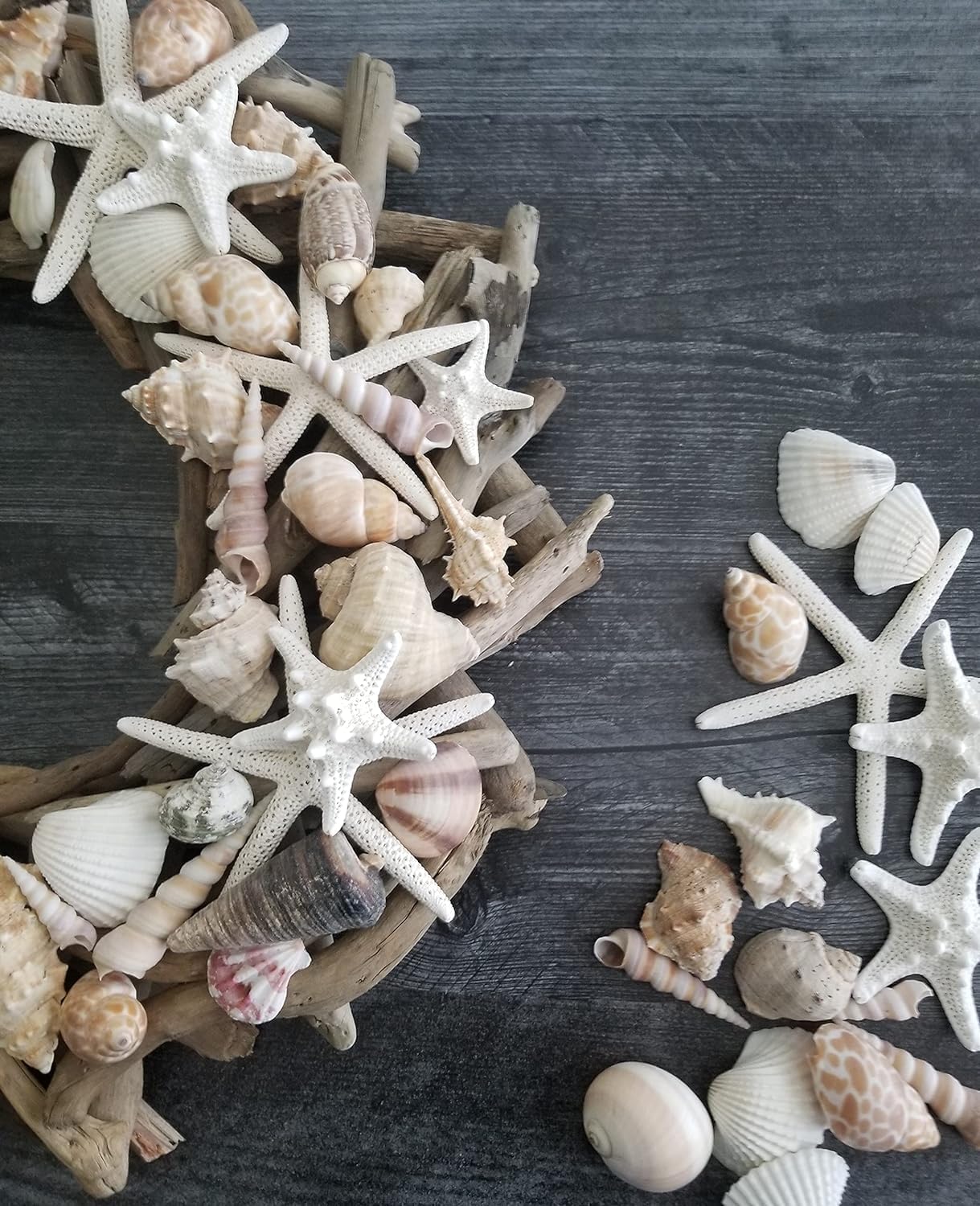 Medium Sized Shells in a Delightful Mix of Whites, Tans and Pinks | 3 Pounds | Bulk Shells for Crafts, Beach Home Decor, Weddings, Vase Filler and Classrooms