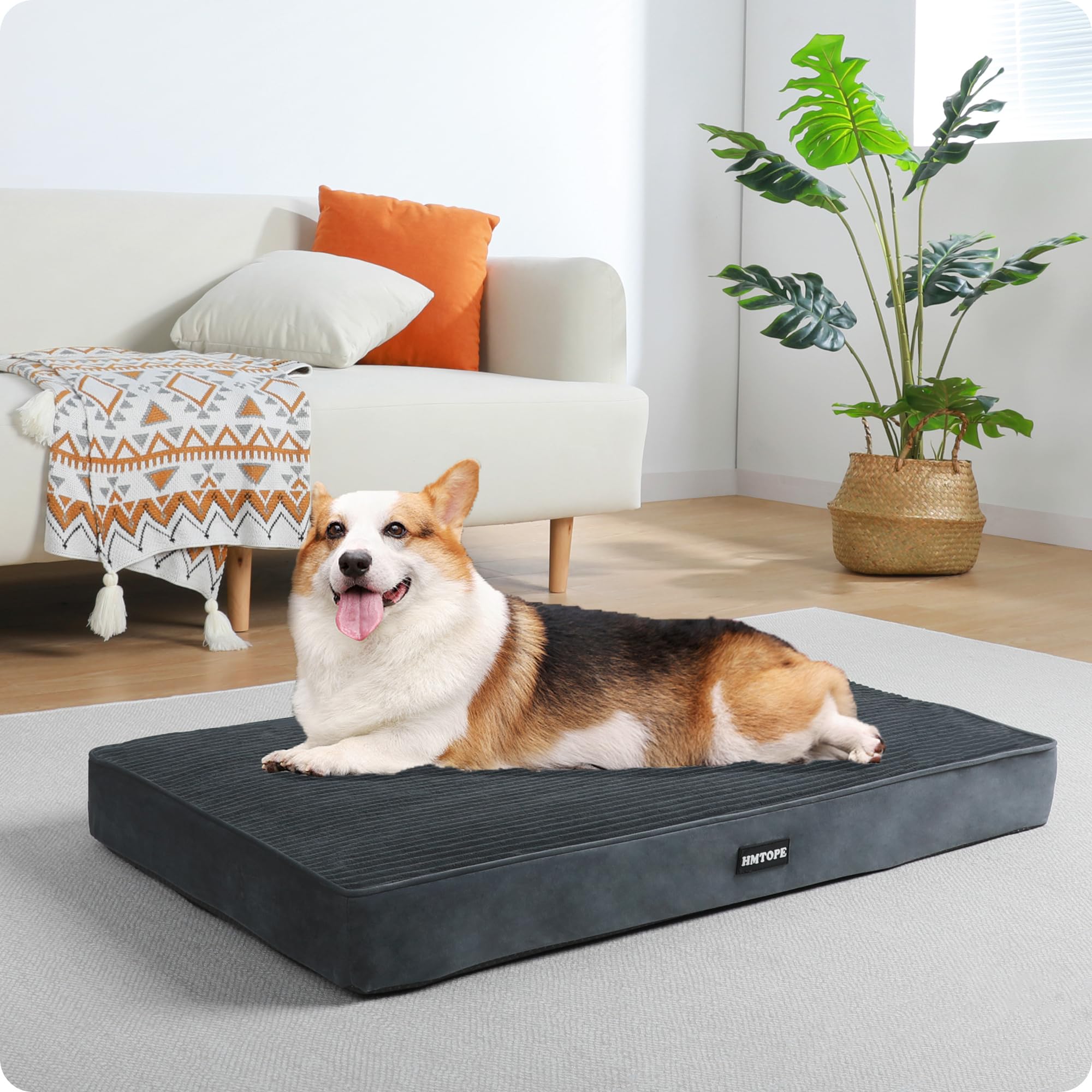 HMTOPE Lit pour chien, Tapis pour chien DB031DG