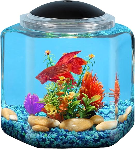 Koller Products 2-Gallon Hex Aquarium Starter Tank - LED Lighting (7 Color Selections), Impact-Resistant Plastic Fish Bowl with Stand for Betta/Nano/Goldfish, Wedding Event & Home Decor