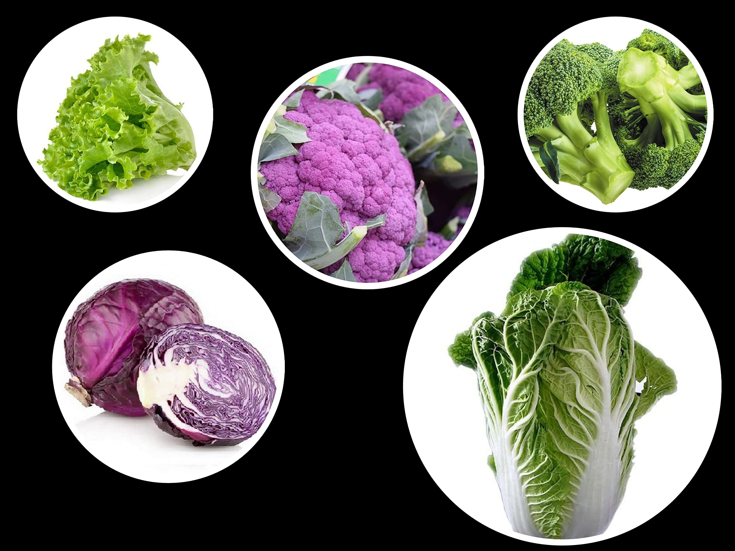 OL Seeds - 5 Exotic Winter Vegetable Seeds Combo For Your Garden (B0B3SDR5ND) Amazon Price History, Amazon Price Tracker