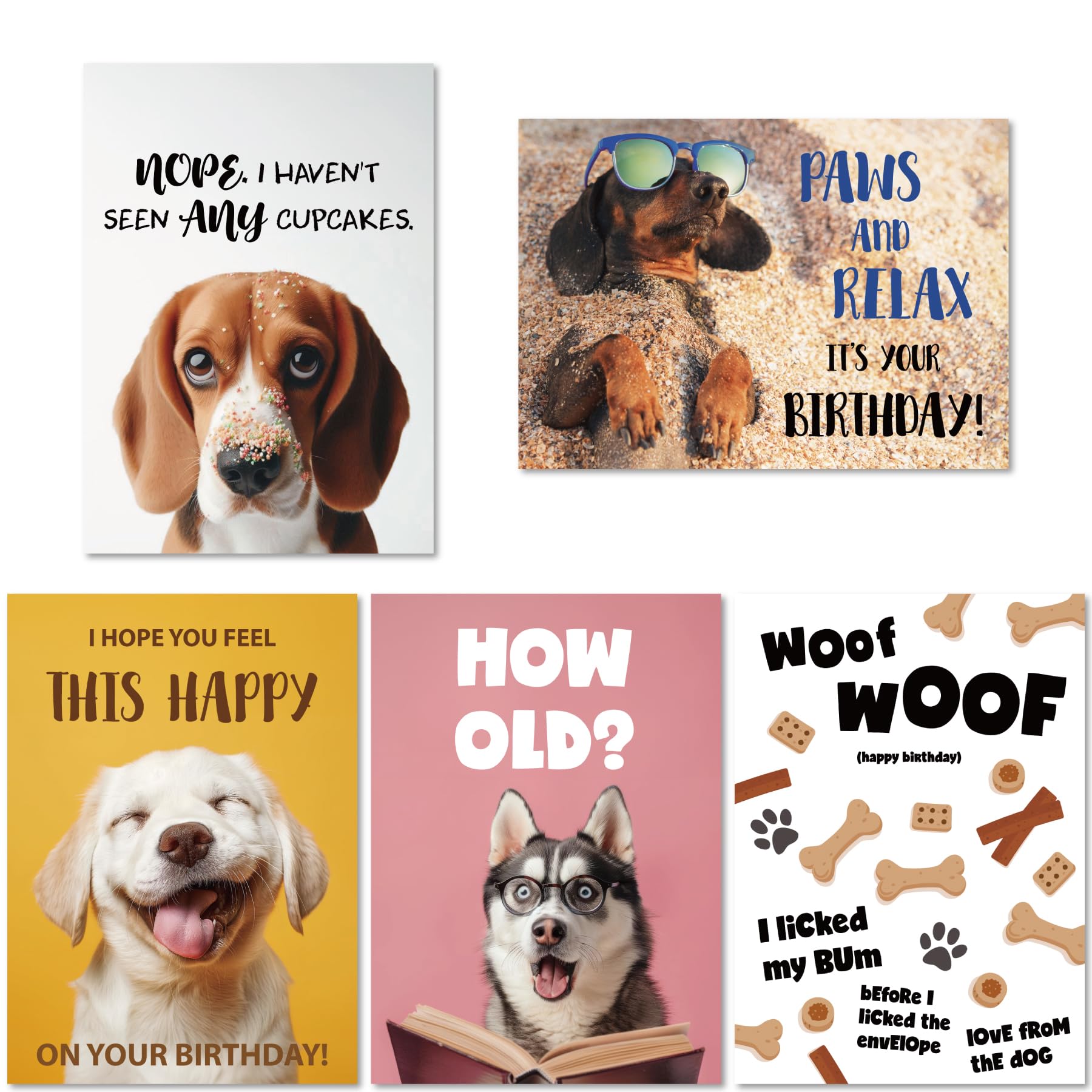 Gooji 5x7 Dogs Birthday Cards Bulk 10 Pack, Funny Humorous Cute Cards for Wife Husband Teenage Young Boy Girl Men Women Adult, Puppy Husky Bulldog