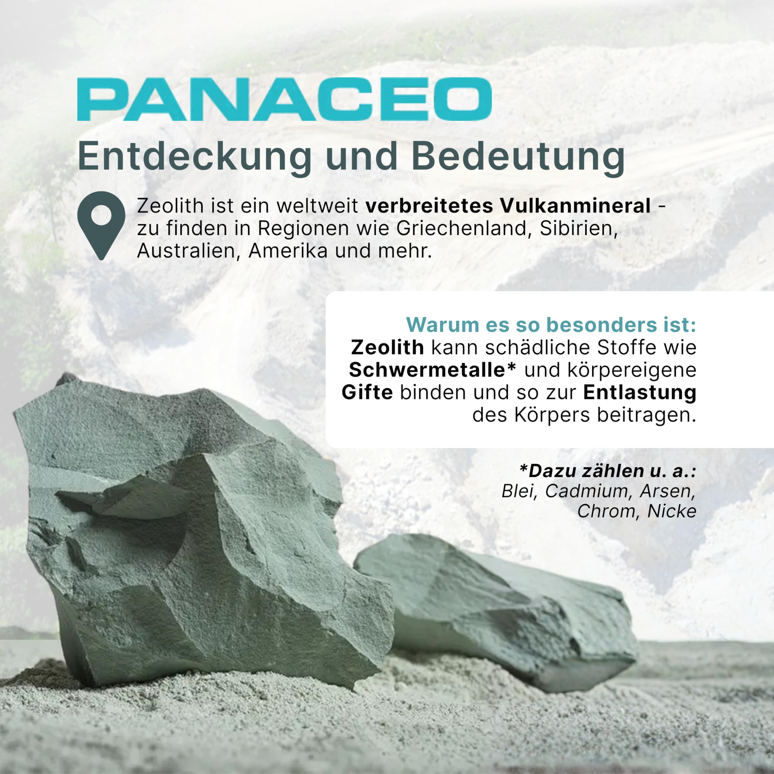 PANACEO Basic-Detox – Medizinprodukt Klasse IIb zur Entgiftung des Magen-Darm-Trakts – PMA-aktivierter Zeolith – zur Stärkung der Darmwand (400g)