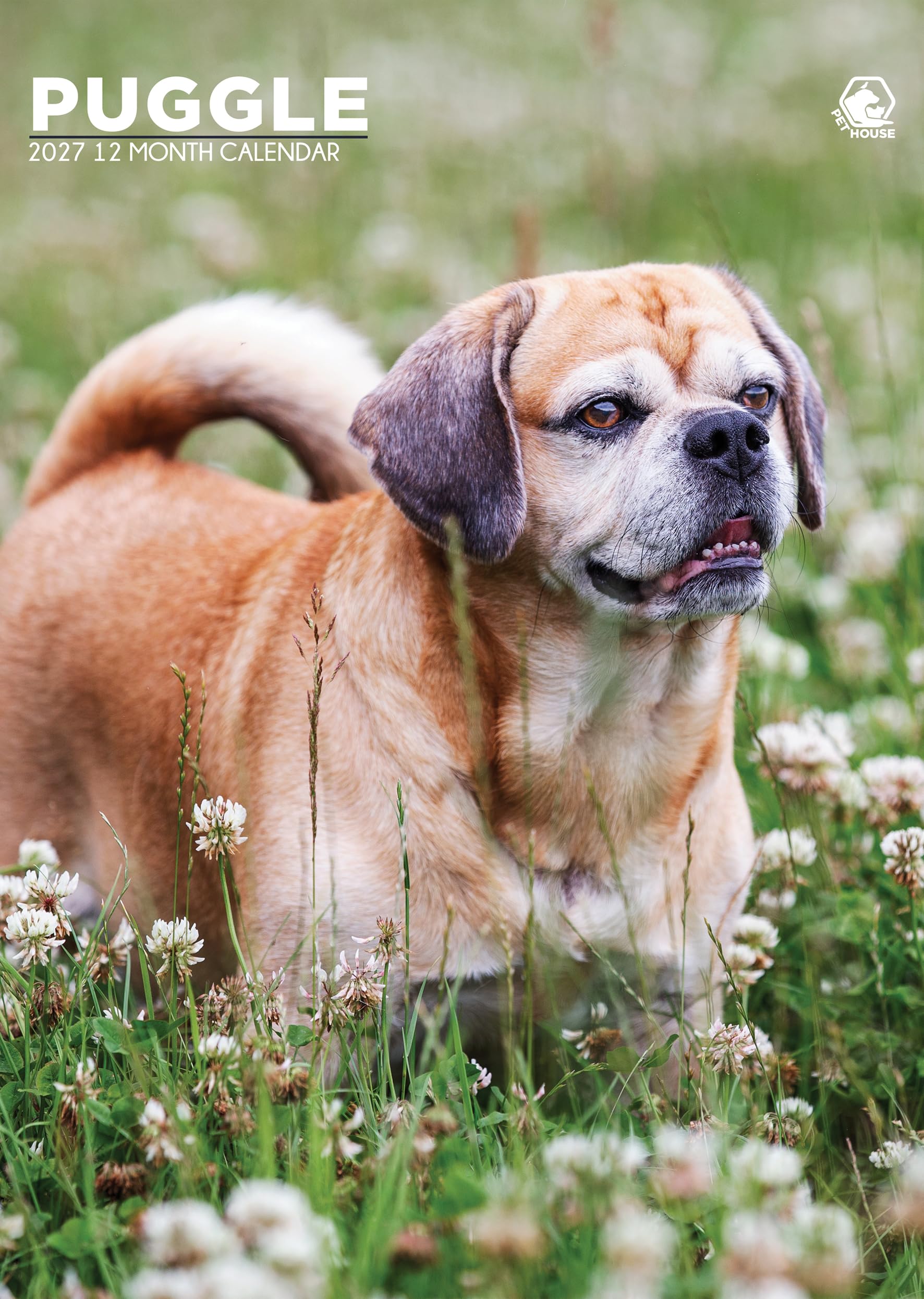 Puggle Dog 2027 Calendar, A3, Full Colour, Wirobound (CRU)