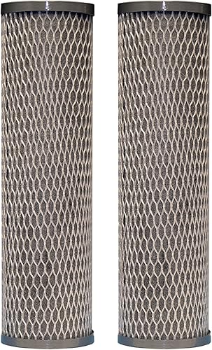 CFS Compatible con filtros de agua Pe ntek CFBC-10 255679-43 CFBC-10 Fibredyne Carbon Block Paquete de 2